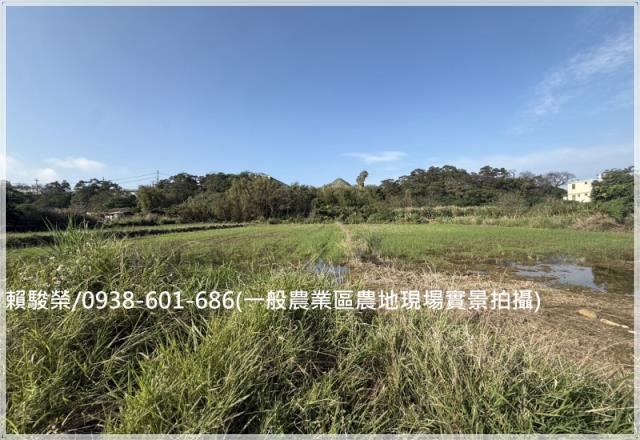 蘆竹大竹交流道一般農