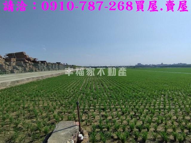 台南農地-11