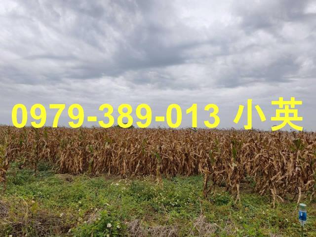 台南鹽水農地-6