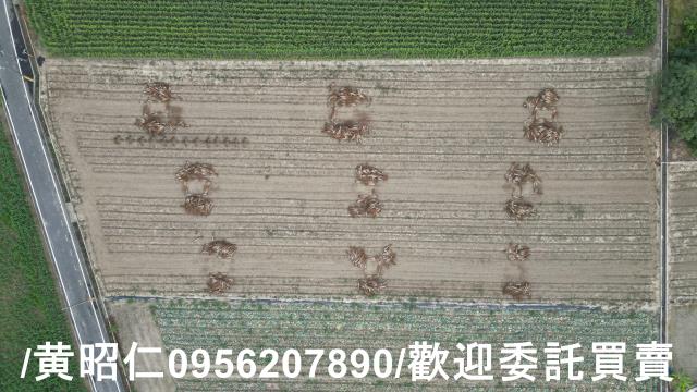 善化農地-2