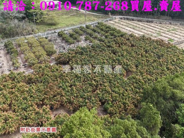 台南官田農地-9