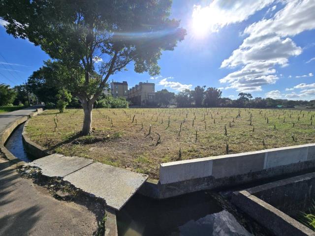 桃園平鎮農地-9