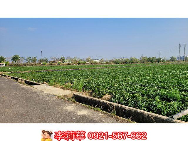 台南農地-6