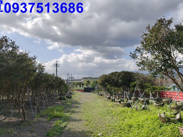 宜蘭礁溪農地-11