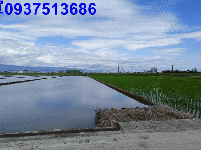 宜蘭壯圍農地-5