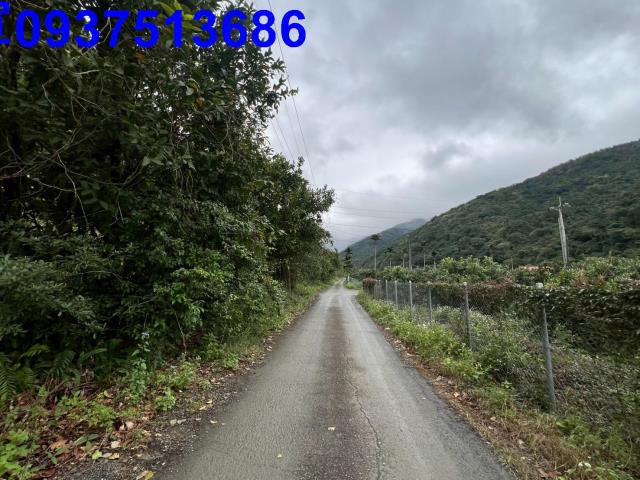 宜蘭員山農地-9