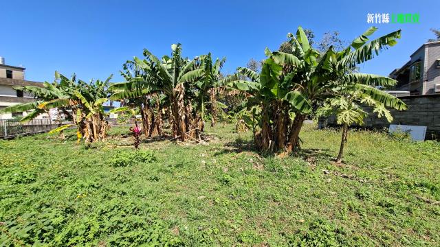 新竹橫山農地-5