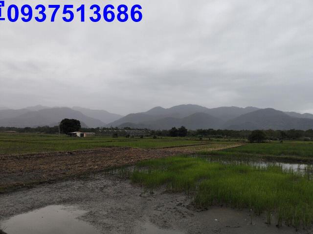 宜蘭三星農地-15