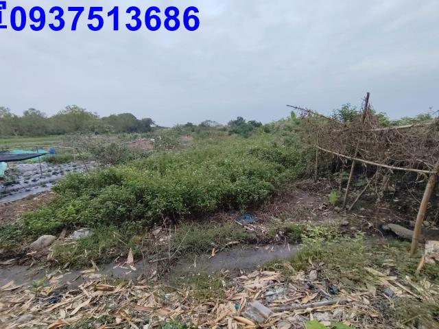 宜蘭三星農地-6