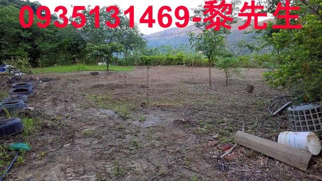 新竹橫山農地-11