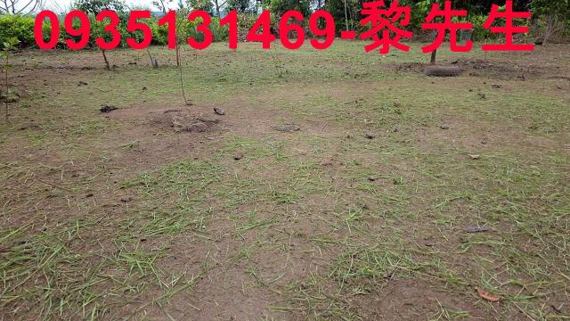 新竹橫山農地-6