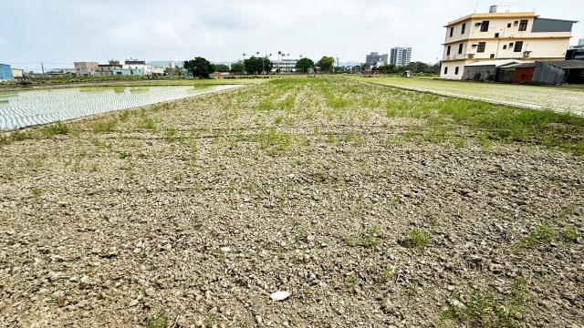 新竹竹北農地-12