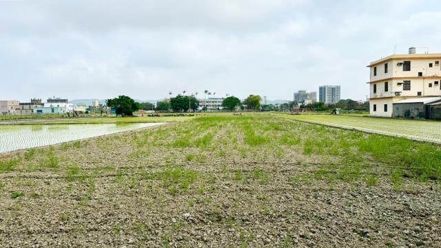 新竹竹北農地-1