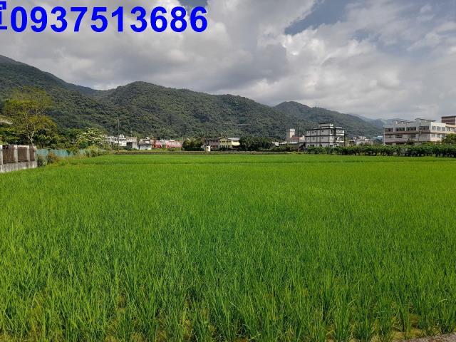 宜蘭礁溪農地-8