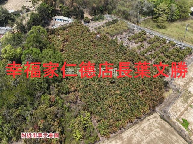 台南官田農地-12