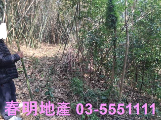 新竹寶山農地-5