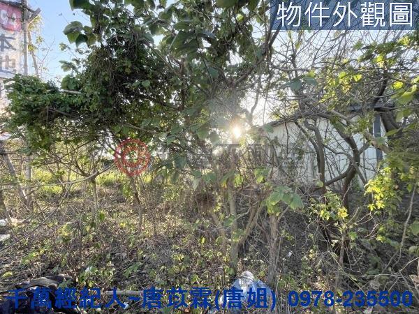 新竹竹北農地-7