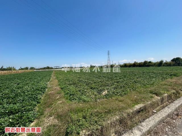 台南新化農地-6