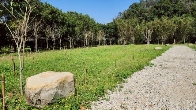 新竹橫山農地-10