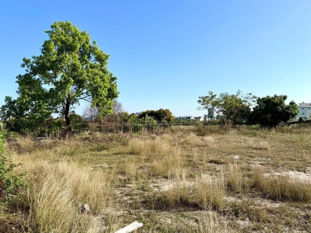 台中西屯農地-1