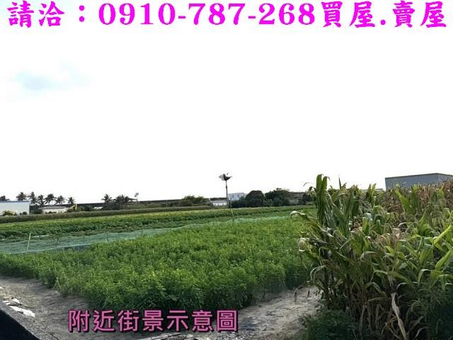 台南安定農地-15