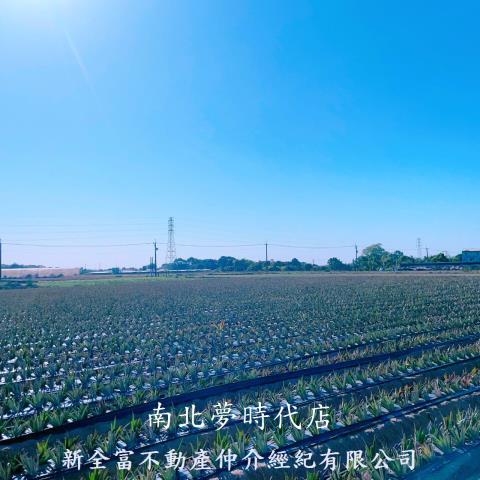 台南山上農地-3