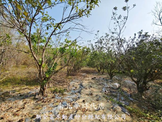 台南左鎮農地-10