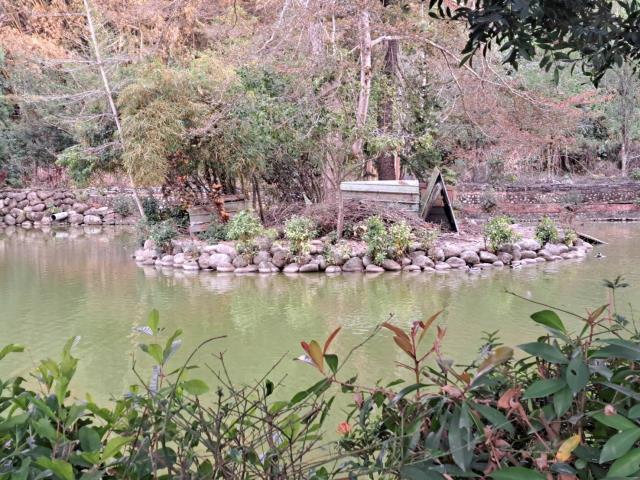 南投竹山農地-3