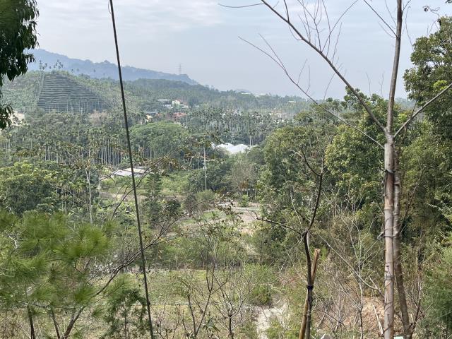 南投鹿谷農地-11