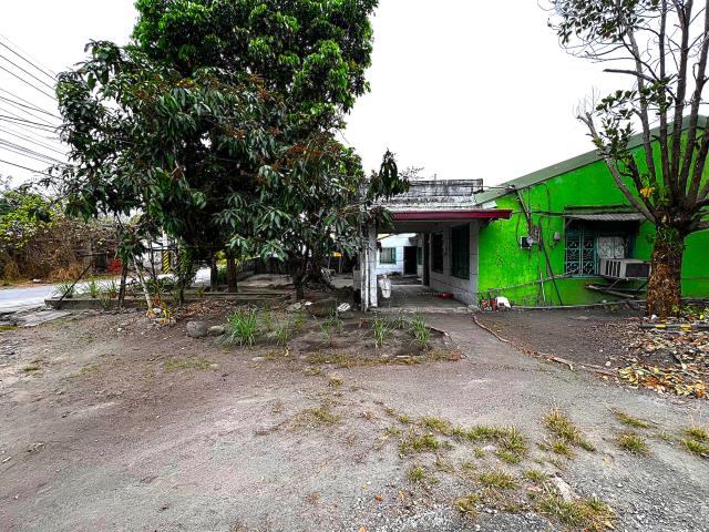 屏東高樹建地-5