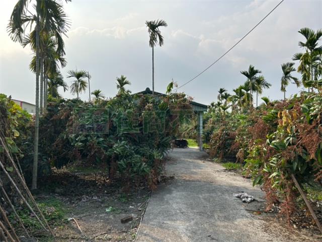 屏東鹽埔農地-6