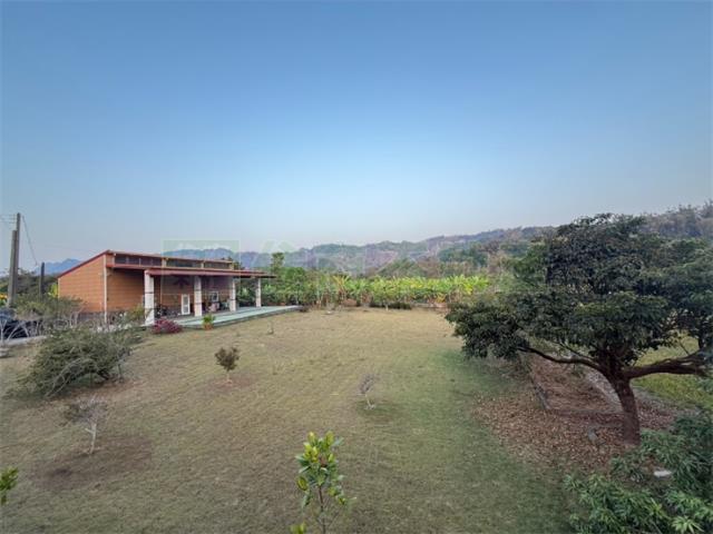 高雄內門農地-1