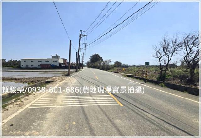 桃園觀音保興路農保田