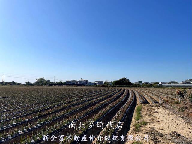 台南農地-5