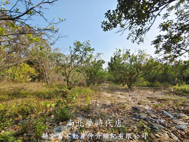 台南左鎮農地-7