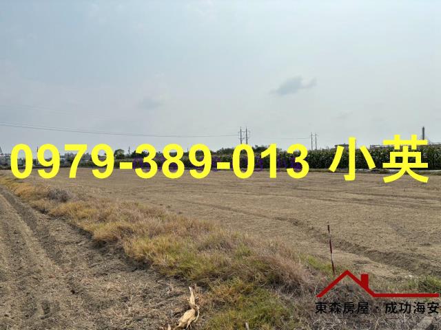 台南新市農地-7