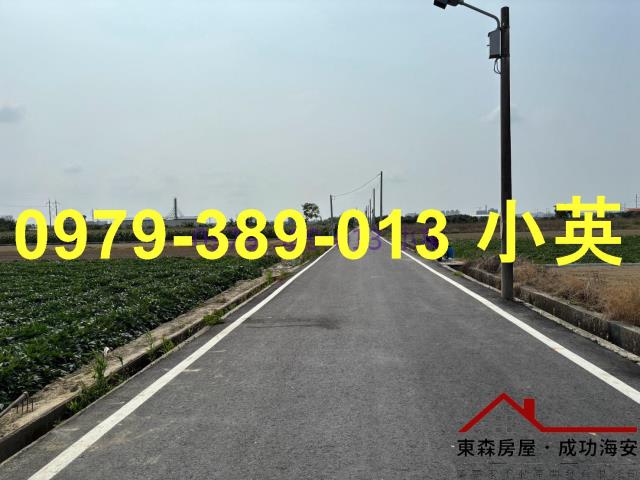 台南新市農地-9