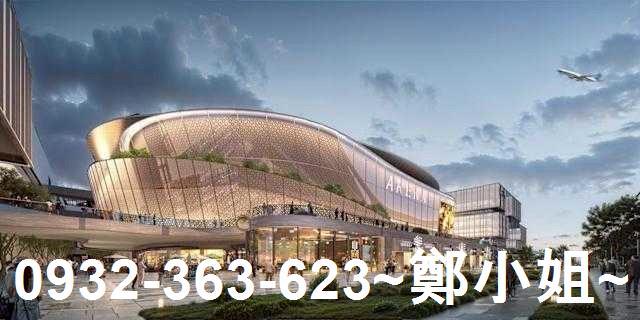 桃園大園建地-3