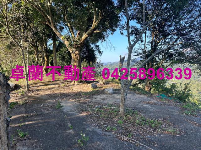 苗栗卓蘭農地-1