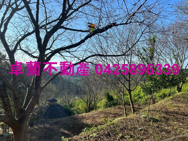 苗栗卓蘭農地-9