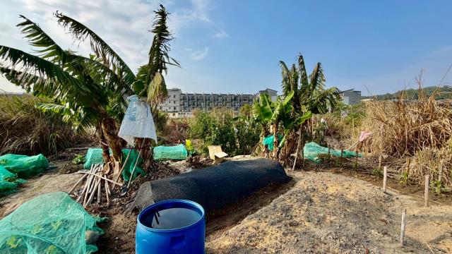 新竹芎林農地-3