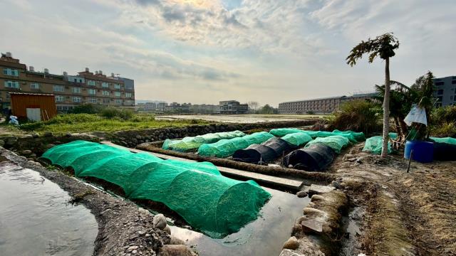 新竹芎林農地-7