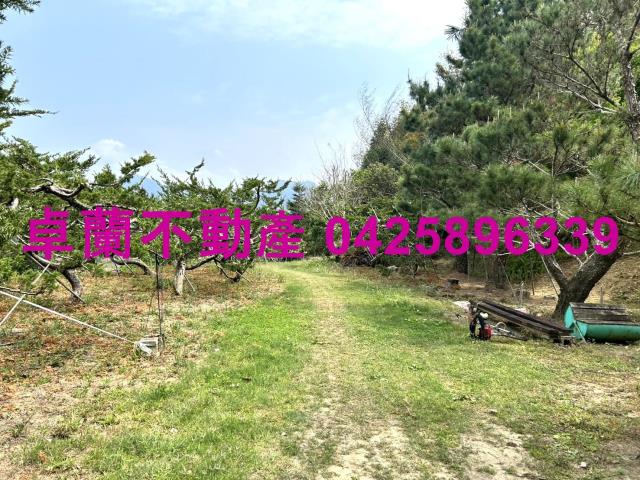 苗栗卓蘭農地-14