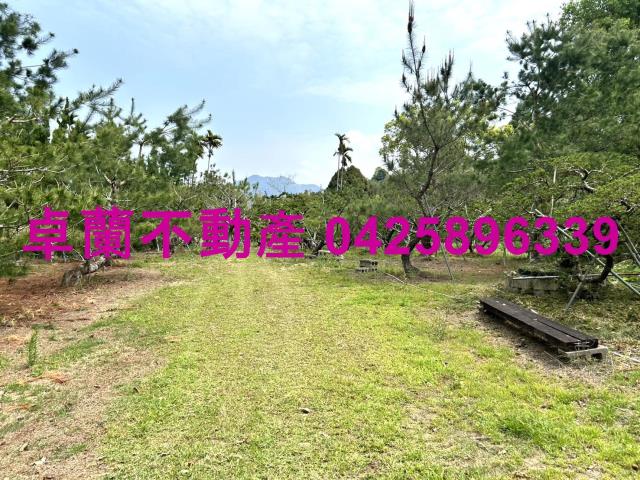 苗栗卓蘭農地-7