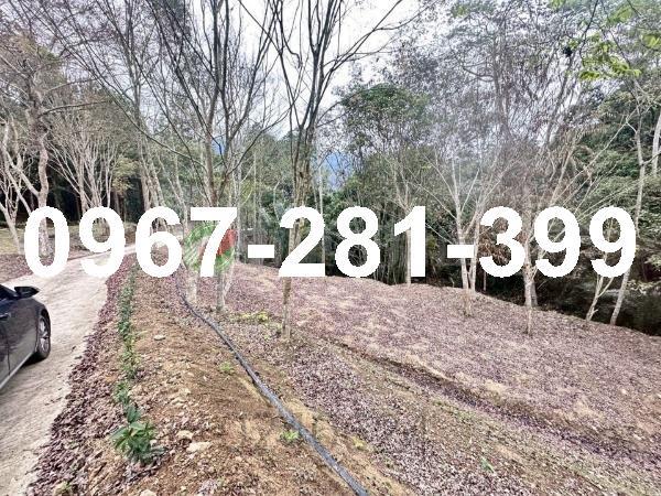 苗栗南庄農地-4