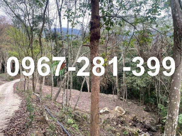 苗栗南庄農地-7