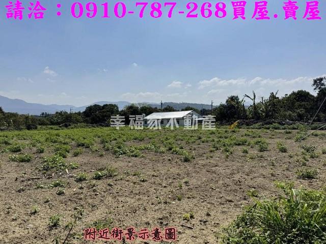 台南玉井農地-5