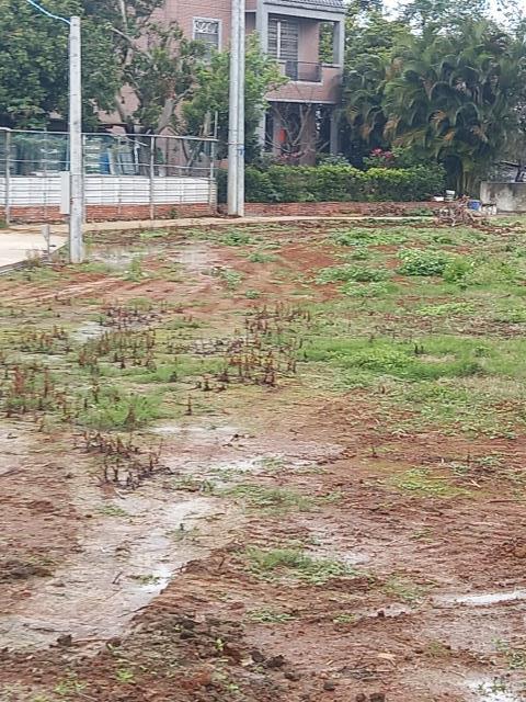 桃園平鎮農地-1