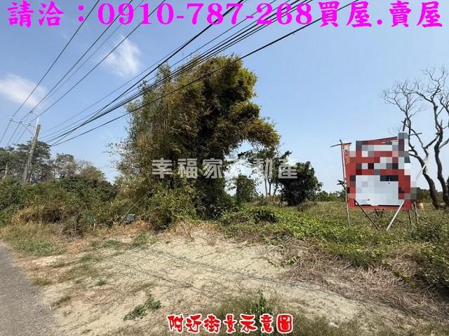 台南新市農地-6