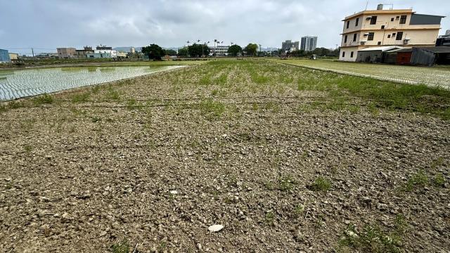 新竹竹北農地-10